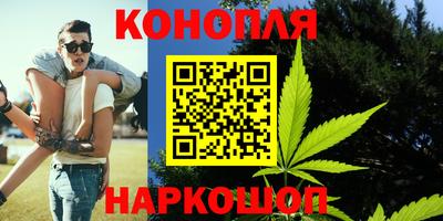 Альфа ПВП Ярославль
