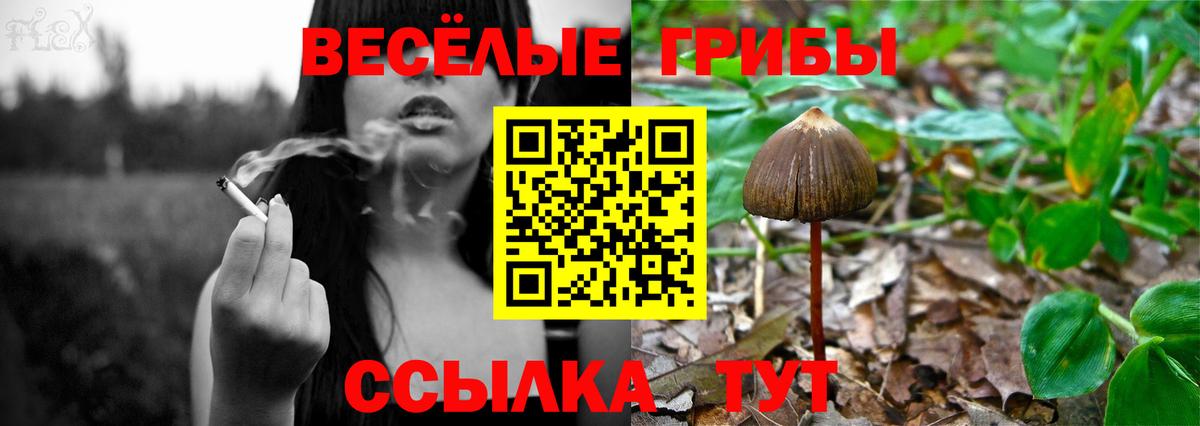Асбест  Псилоцибиновые грибы GOLDEN TEACHER  Вход с VPN 